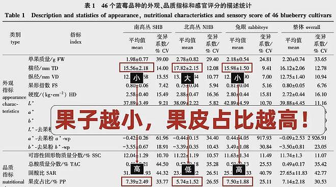 冷知识：千万不要买太大的蓝莓！！！（组图） - 9