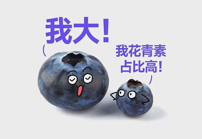 冷知识：千万不要买太大的蓝莓！！！（组图） - 10