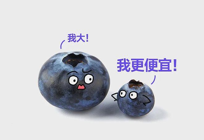 冷知识：千万不要买太大的蓝莓！！！（组图） - 15