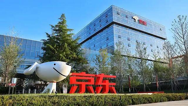 52岁刘强东上千亿身家,儿子却是他一生的遗憾 - 12