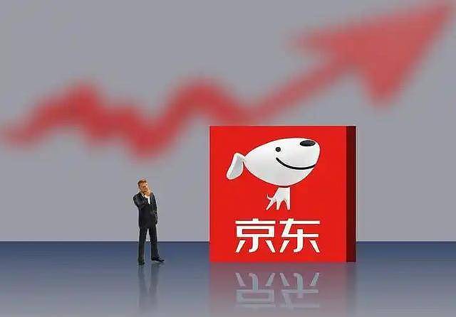 52岁刘强东上千亿身家,儿子却是他一生的遗憾 - 13
