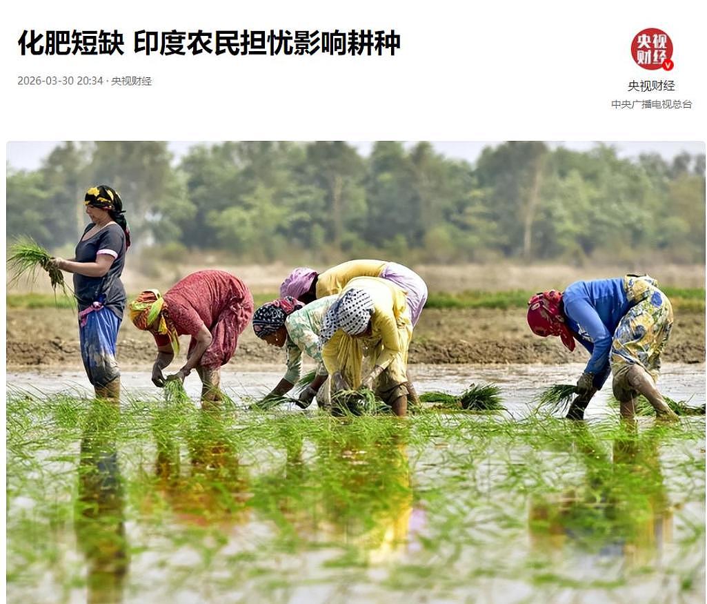 求助中国，莫迪: 再不放行化肥 14亿人饭碗不保 - 5