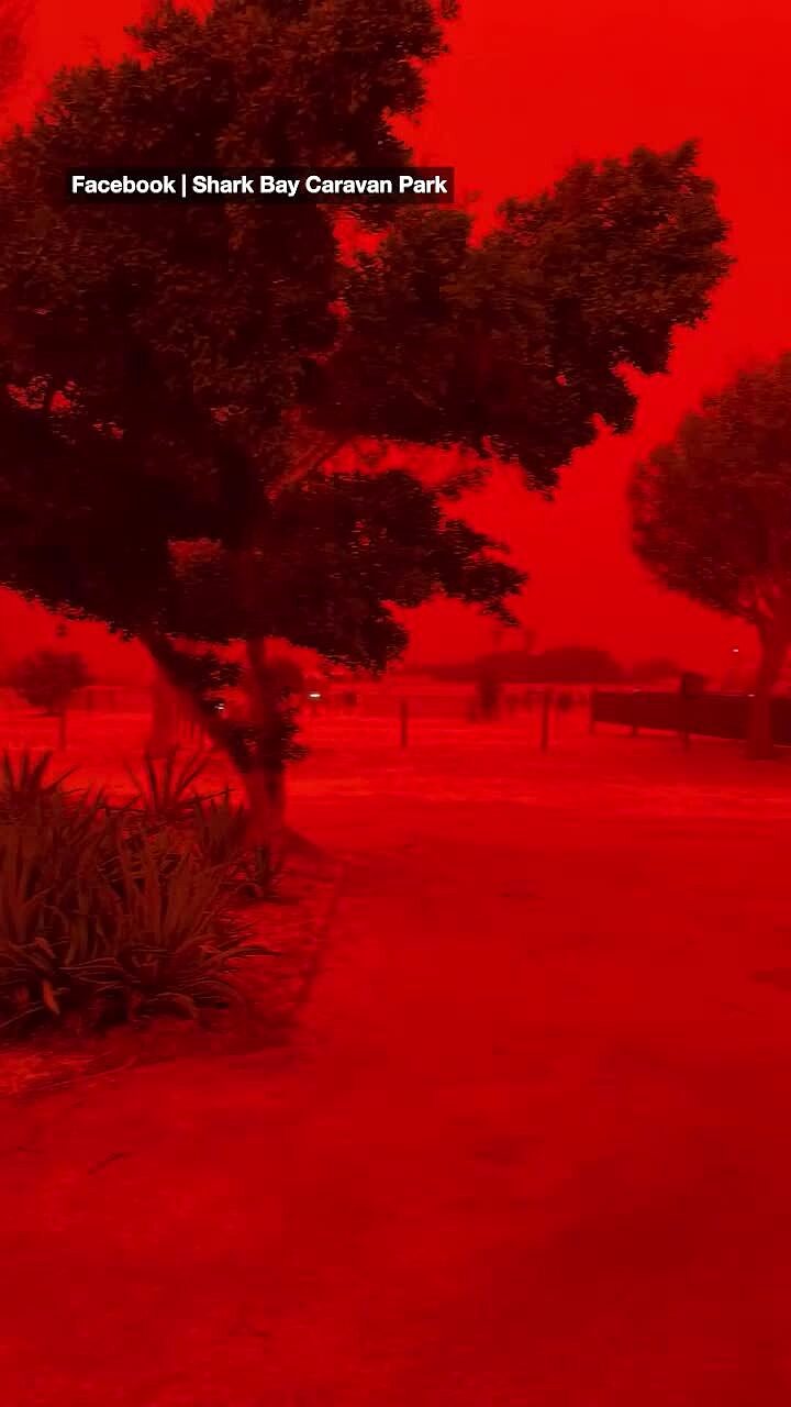 澳洲惊现“末日级”血色天空！强气旋卷起漫天红土，背后真相曝光 - 1