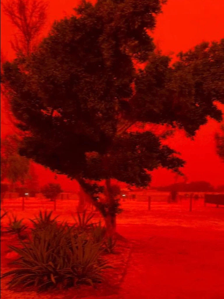 澳洲惊现“末日级”血色天空！强气旋卷起漫天红土，背后真相曝光 - 5