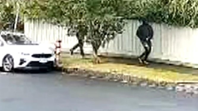 社死！墨尔本“笨贼”持刀抢奔驰，不会换挡当场露馅，躲草丛数小时终被捕（组图） - 3