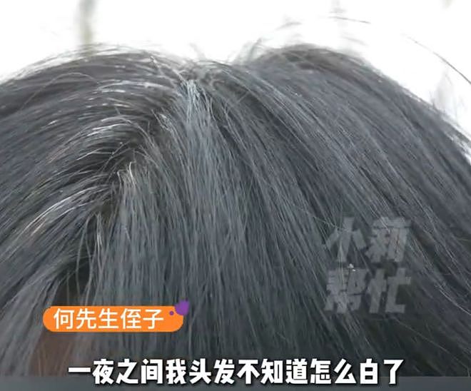 扫了共享单车上的码,00后小伙亏掉一套房的首付!一夜白头,自扇巴掌:没脸面对家人...... - 15