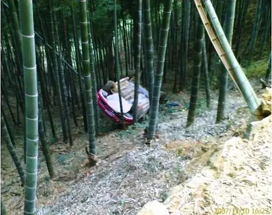 中国第一代女赛车手,40岁决定去开网约车(组图) - 7