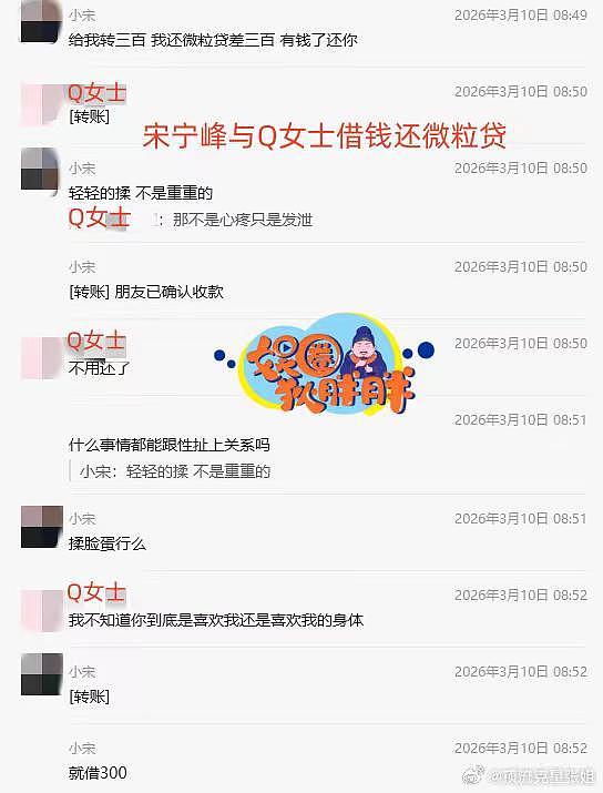 离婚聊天记录曝光,张婉婷伤心欲绝,宋宁峰给Q女士借三百还网贷(组图) - 3