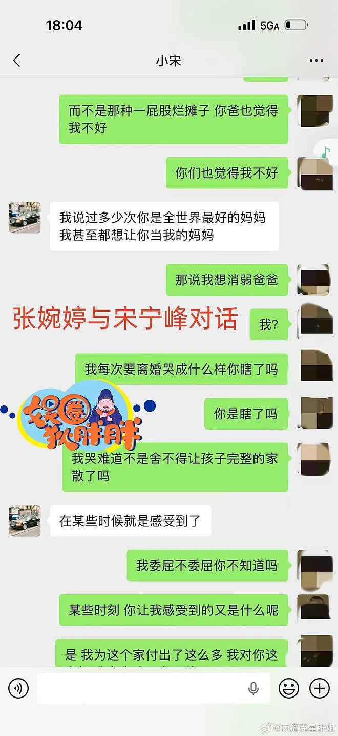 离婚聊天记录曝光,张婉婷伤心欲绝,宋宁峰给Q女士借三百还网贷(组图) - 6