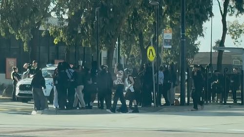 墨尔本购物中心大规模群殴，50多名学生混战致商场封锁（组图） - 2