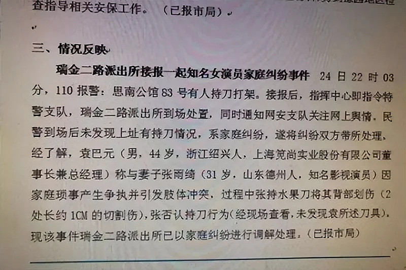 真性情还是太傲慢？张雨绮口无遮拦，再掀风波（组图） - 22