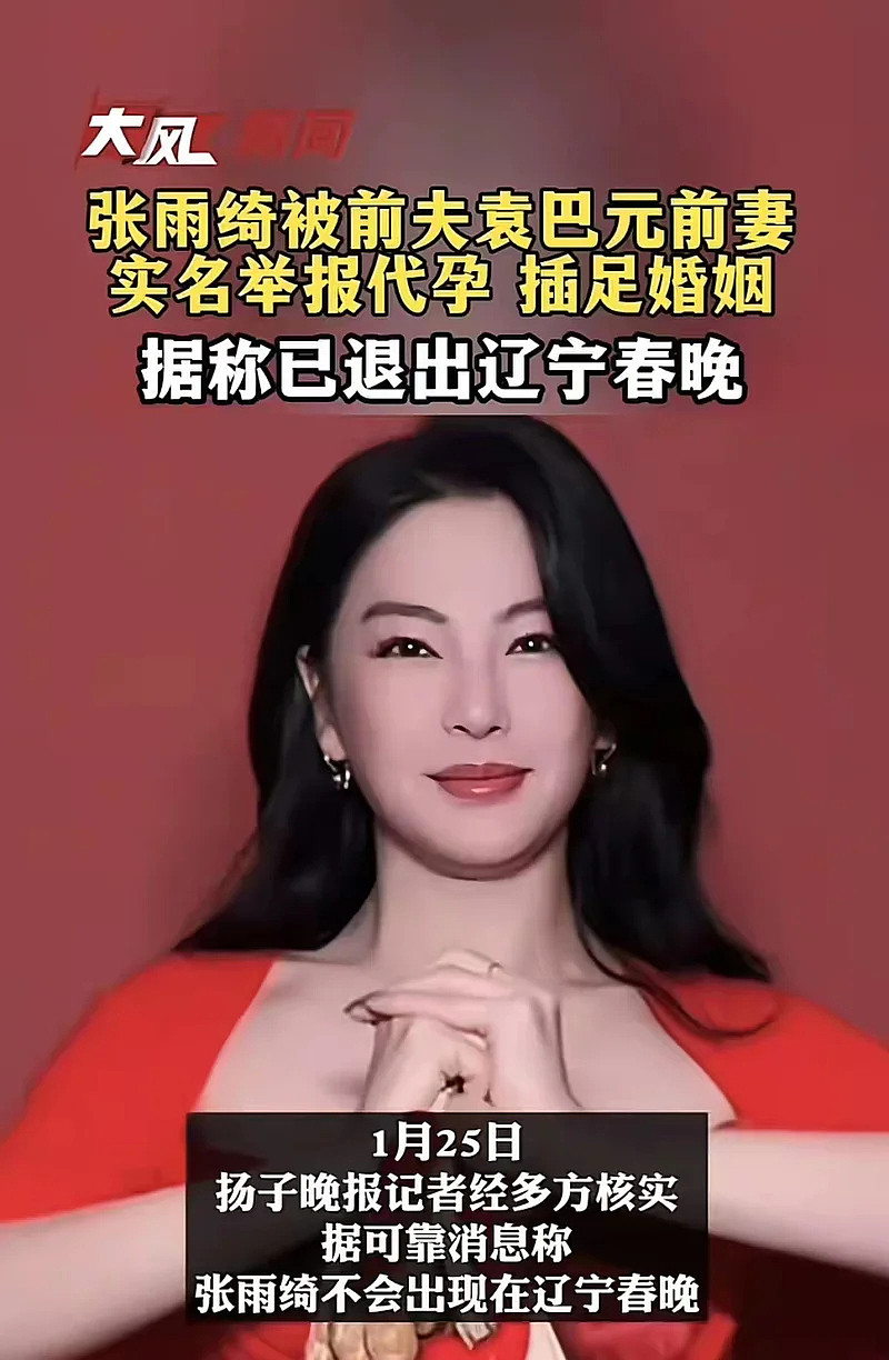真性情还是太傲慢？张雨绮口无遮拦，再掀风波（组图） - 34