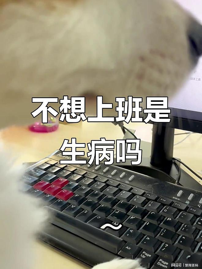 阿里员工猝死，倒在电梯口，走时还抱着电脑…（组图） - 3