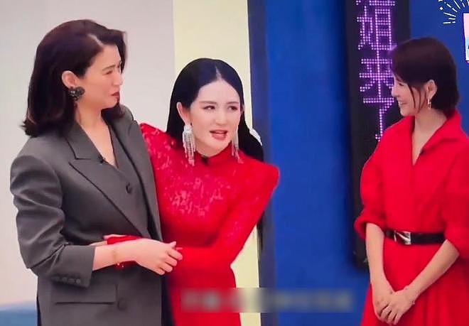 《乘风2026》被观众要求下架!理由:谢娜主持口无遮拦,现场乱套(组图) - 16