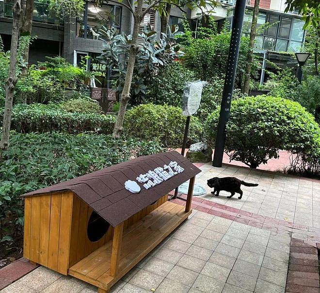 “全面取消”物业?四川打响取消物业“第一枪”!官媒发声 - 5