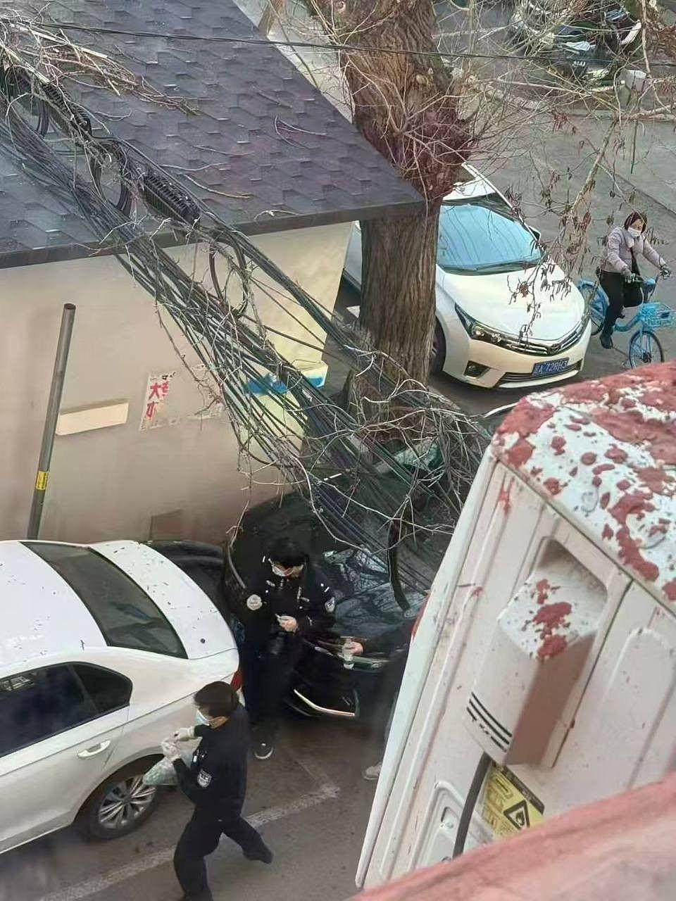 血腥慎点！网传沈阳发生随机砍人，致多人死伤！无头尸体倒卧街头（组图） - 2
