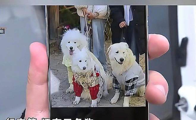 2女3狗穷游云南赖账翻车后续：P 图造假、反咬司机、官方直接起诉 - 6