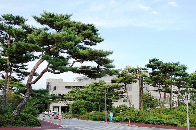 韩国117名中国留学生涉学历造假,5人被勒令出境后紧急起诉 - 2