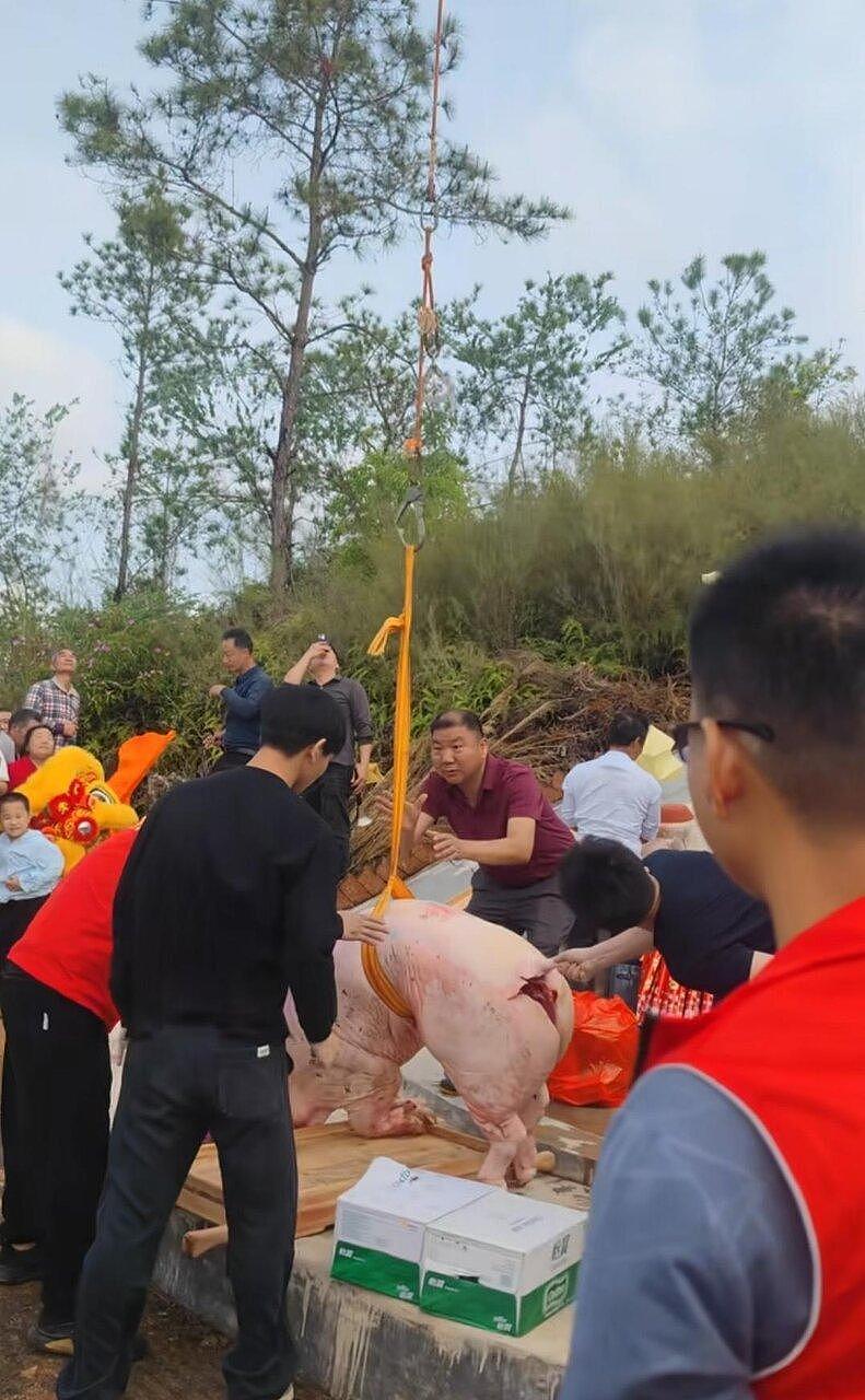无人机吊整头猪上山！广东百人家族清明“硬核”扫墓引热议 - 1