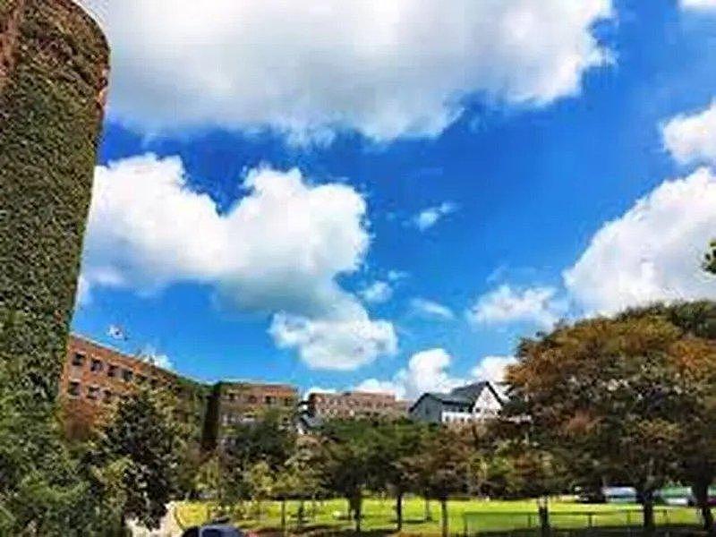 112名中国留学生伪造学历被遣返，5人拒不离境状告韩国政府（图） - 1