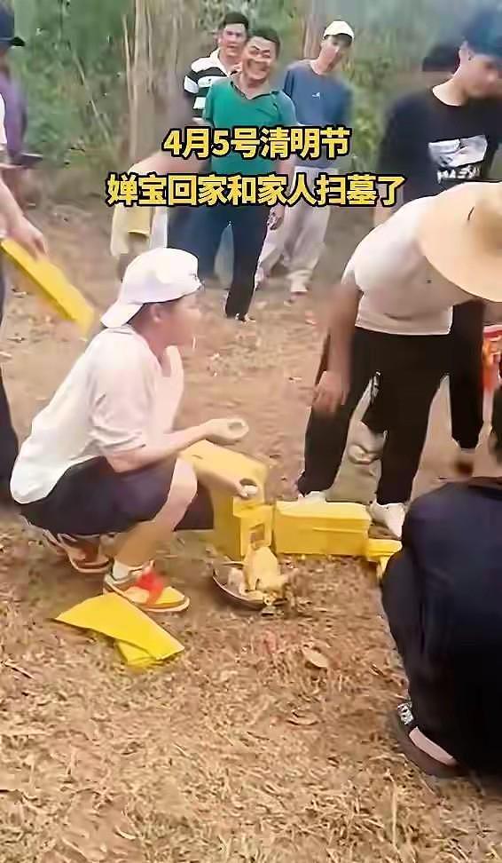 全红婵回乡祭祖一个动作火遍全网！褪去冠军光环的她，圈粉无数（组图） - 2