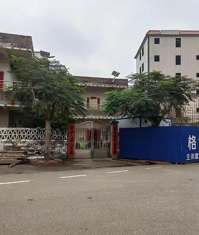 全红婵回乡祭祖一个动作火遍全网！褪去冠军光环的她，圈粉无数（组图） - 11