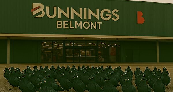 连谷歌搜索也沦为重灾区！Bunnings等澳洲名店惊现大量AI假图，用户举报无果（组图） - 2