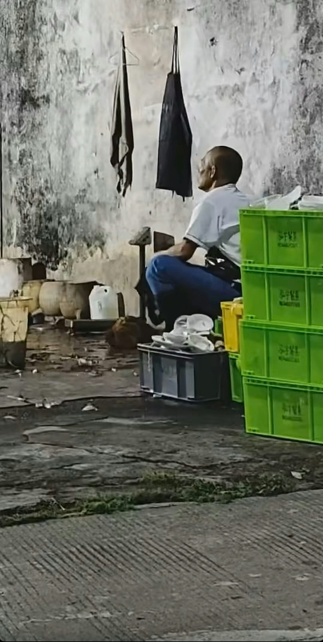 顺德鸡煲一夜爆红!老板自嘲用冰鲜鸡求“执笠”反引食客疯狂打卡(组图) - 7