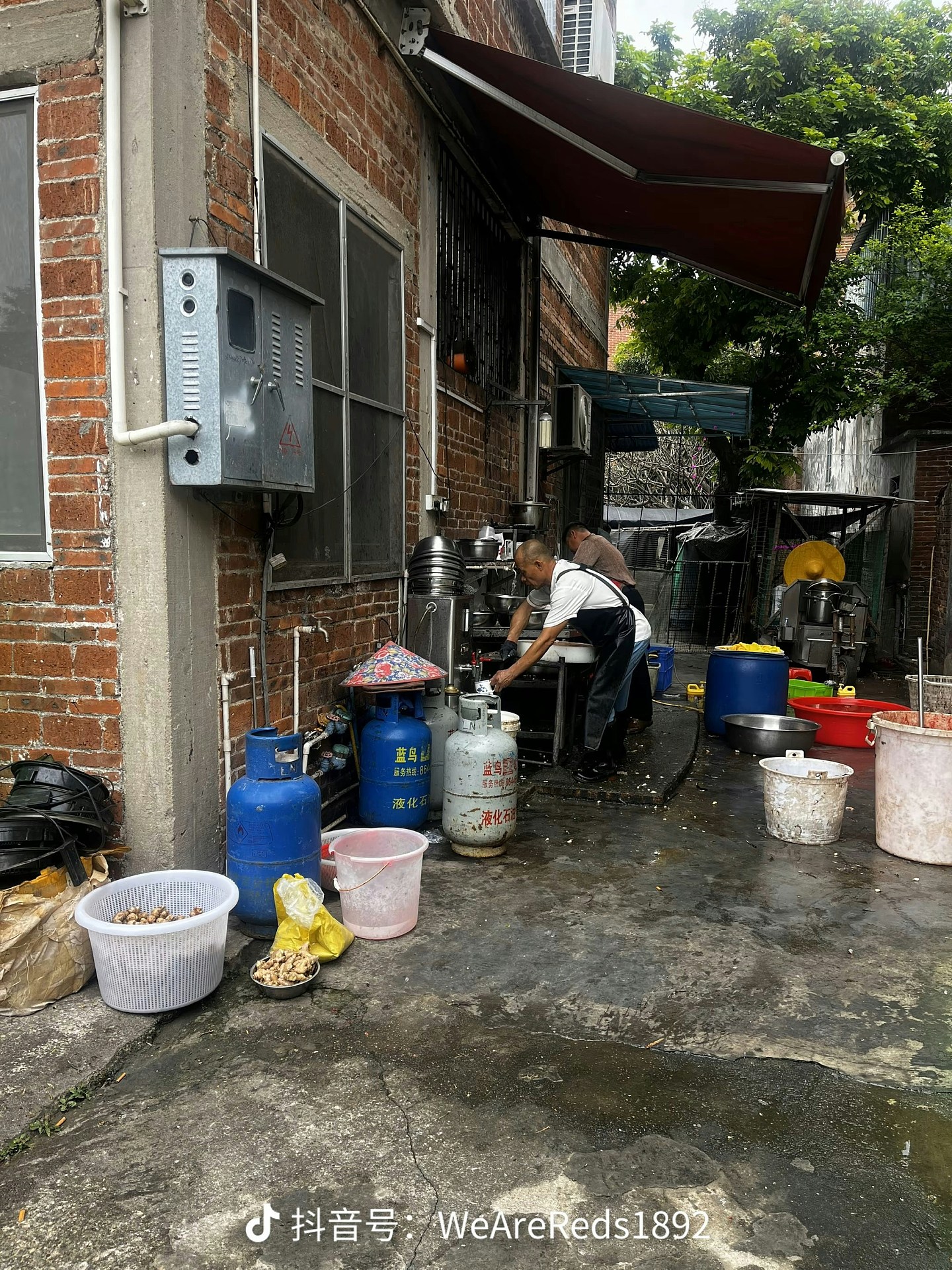 顺德鸡煲一夜爆红!老板自嘲用冰鲜鸡求“执笠”反引食客疯狂打卡(组图) - 8