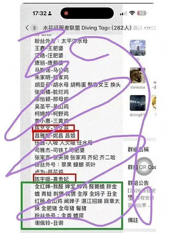 全红婵陈芋汐微信群事件:群规禁止攻击其他运动员,全红婵除外(组图) - 2