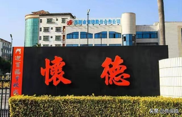 年人均分红47万元，四口之家躺赚近200万，这个深圳小村确实豪（组图） - 1