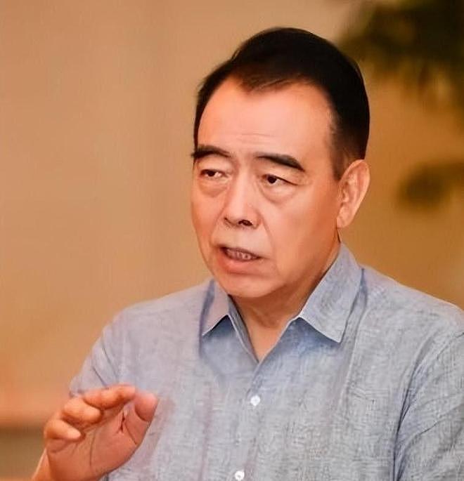 亲日辱华、知三当三？这一次，57岁的陈红被儿子丈夫“害”惨了（组图） - 9