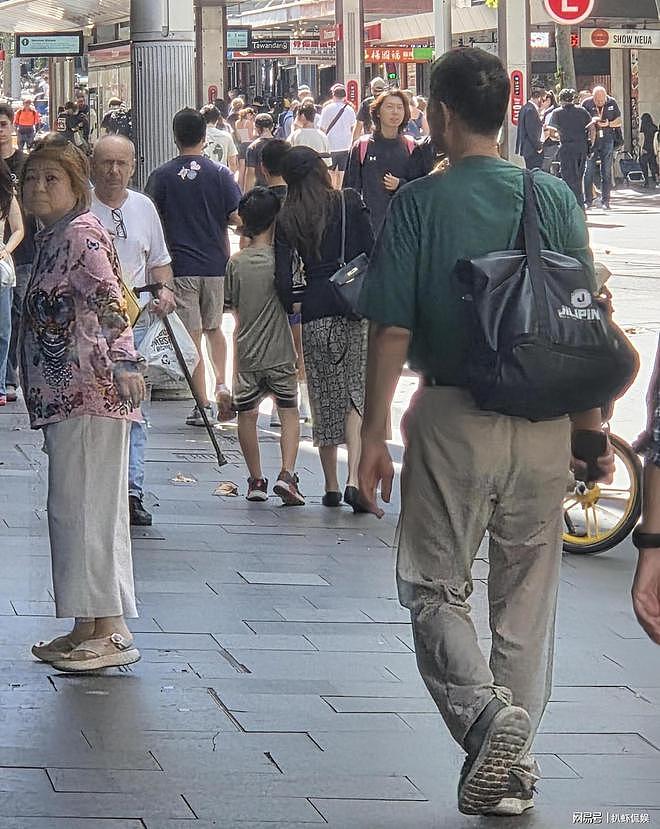 侯佩岑全家悉尼度假，一家四口幸福满溢，侯佩岑牵小儿子手好温馨（组图） - 2