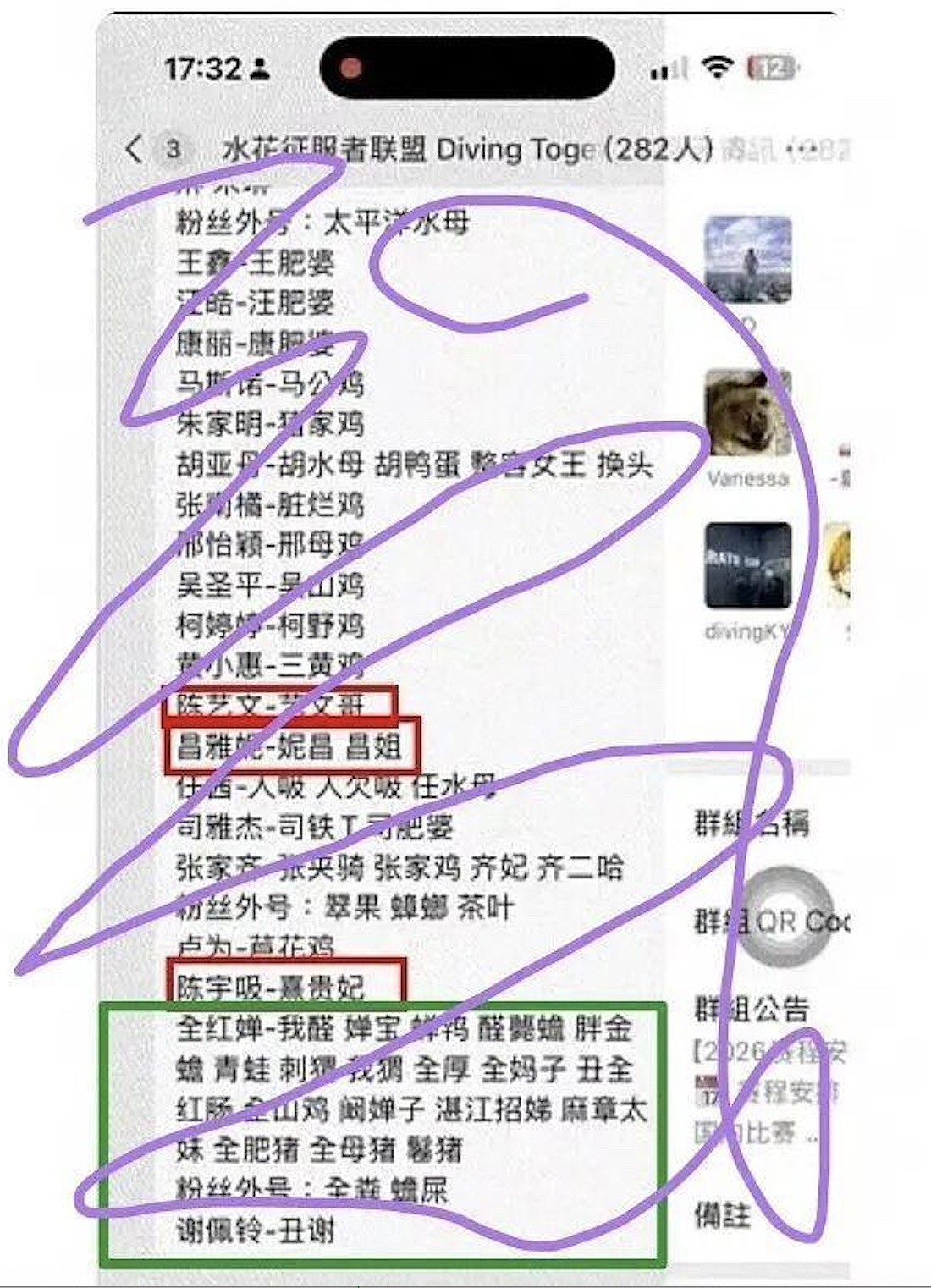 全红婵疑遭集体霸凌，涉教练和央视记者（组图） - 2