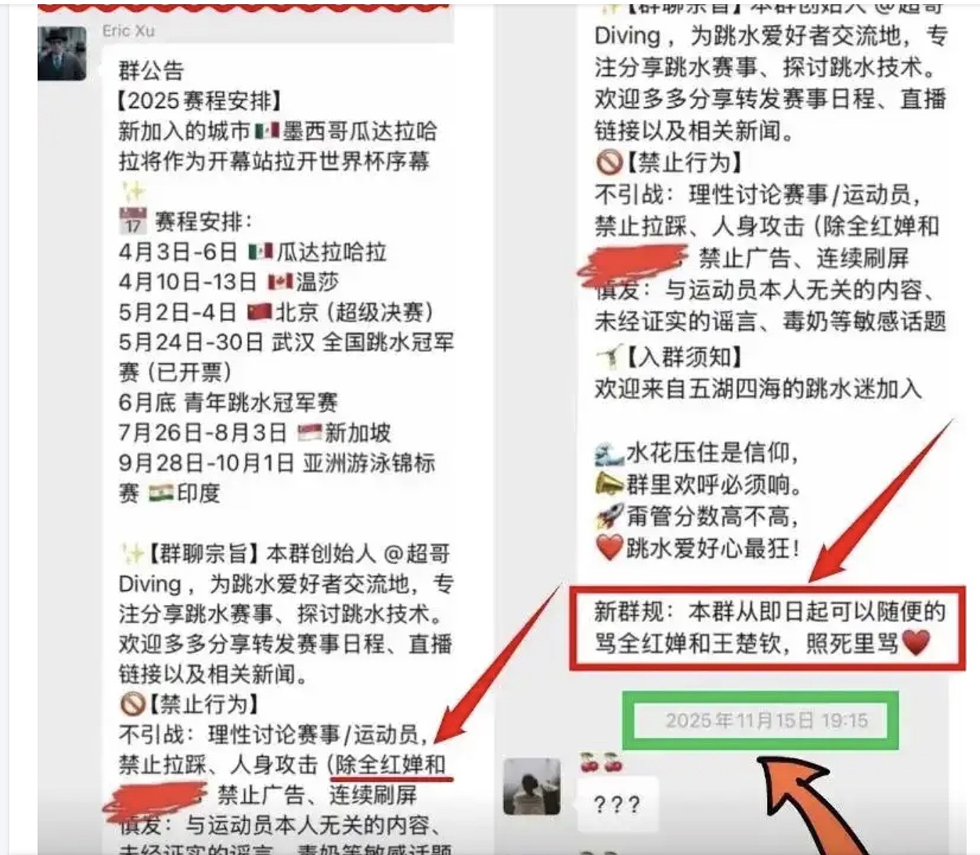 全红婵疑遭集体霸凌，涉教练和央视记者（组图） - 3