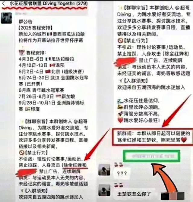 抹黑全红婵事件大结局!282人黑群曝光,主流媒体集体发声后(组图) - 1