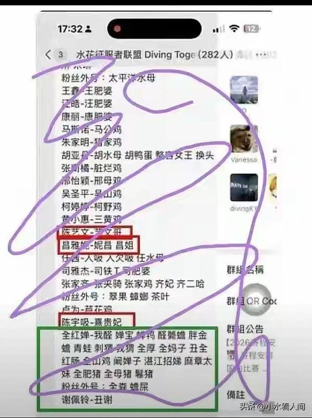 抹黑全红婵事件大结局!282人黑群曝光,主流媒体集体发声后(组图) - 4