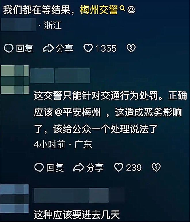 广东逆行堵路“路霸”后续:硬刚交警下场很惨,处罚结果大快人心(组图) - 5