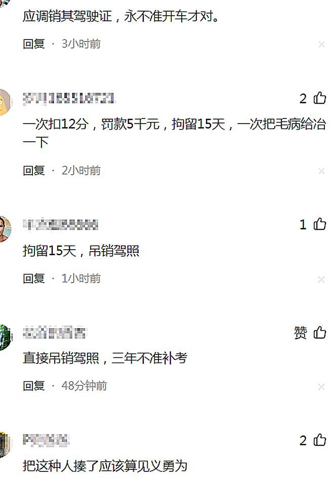 广东逆行堵路“路霸”后续:硬刚交警下场很惨,处罚结果大快人心(组图) - 9