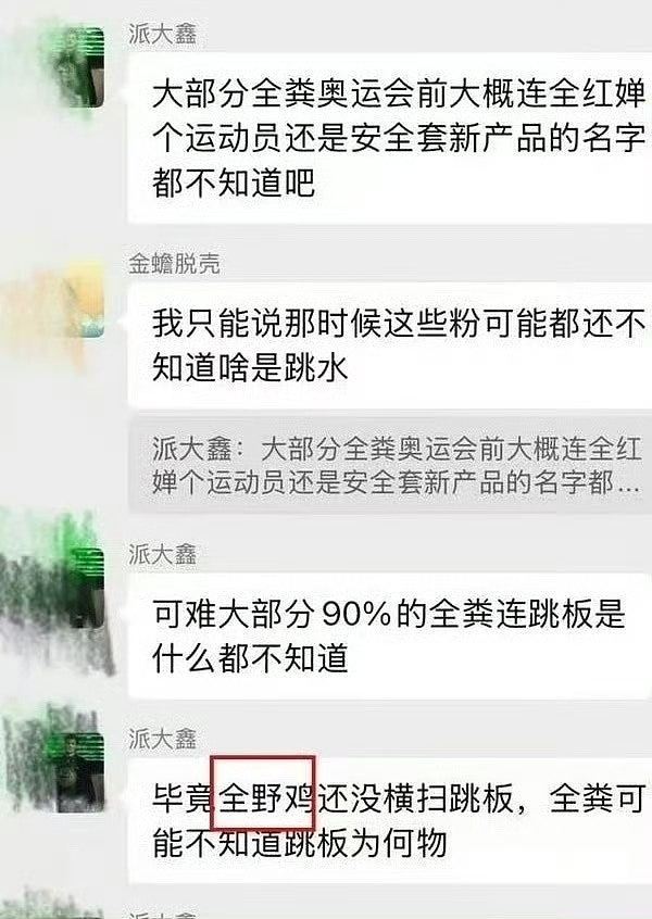 全红婵遭网暴!282人微信群组对话截图疯传,疑涉陈芋汐等名将(组图) - 3