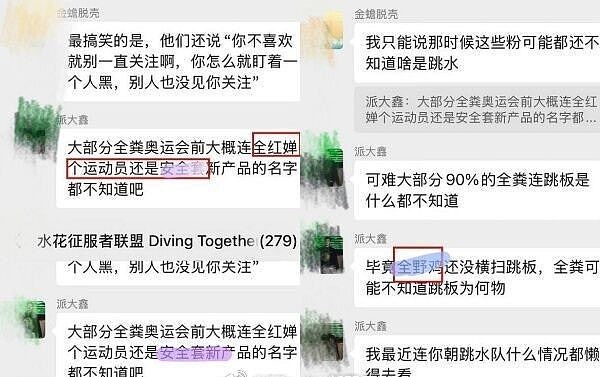 全红婵遭网暴!282人微信群组对话截图疯传,疑涉陈芋汐等名将(组图) - 4