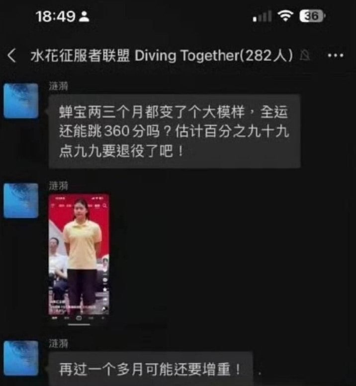 全红婵遭网暴!282人微信群组对话截图疯传,疑涉陈芋汐等名将(组图) - 5