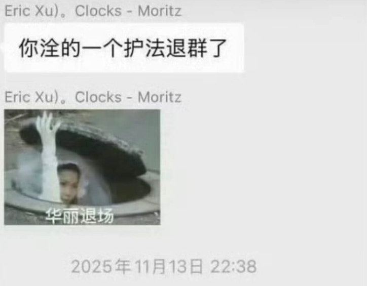全红婵遭网暴!282人微信群组对话截图疯传,疑涉陈芋汐等名将(组图) - 8