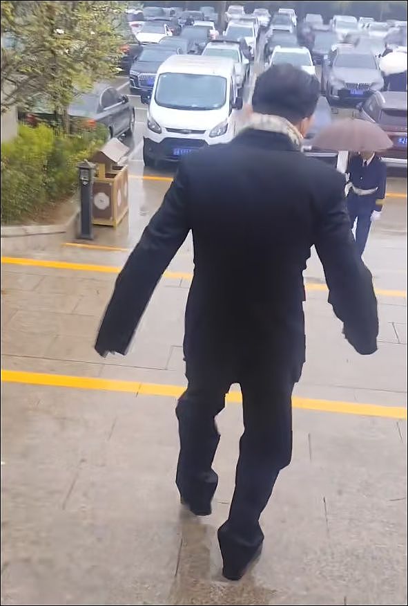 西游主演送别陈丽华：马德华痛哭，六小龄童冒雨，迟重瑞令人担忧（组图） - 8