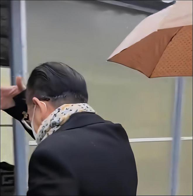 西游主演送别陈丽华：马德华痛哭，六小龄童冒雨，迟重瑞令人担忧（组图） - 9