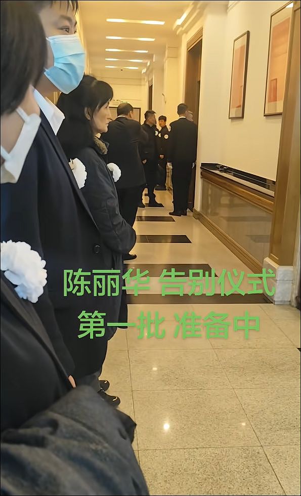 西游主演送别陈丽华：马德华痛哭，六小龄童冒雨，迟重瑞令人担忧（组图） - 16