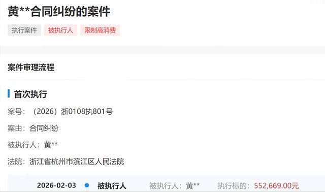 陪玩陪睡都是毛毛雨！王思聪前女友曝“丑闻”，王家彻底坐不住了 - 3