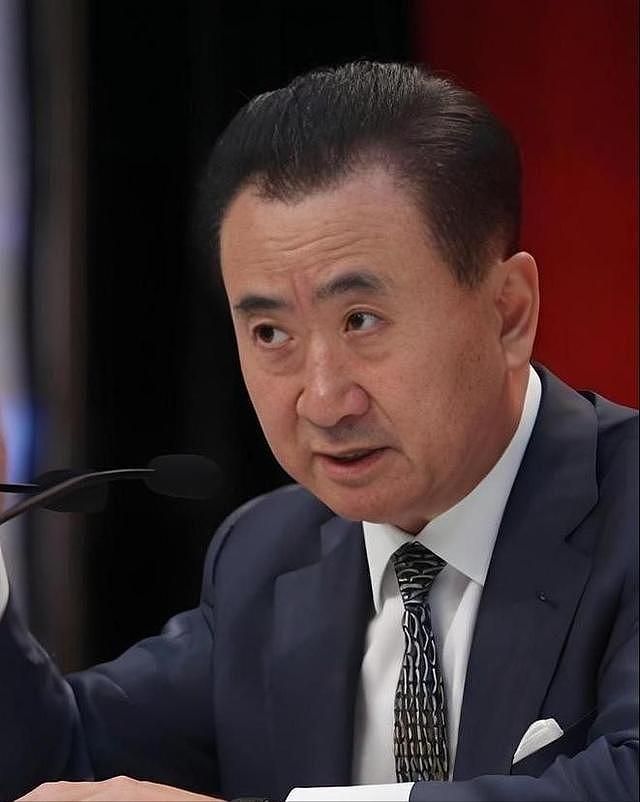 陪玩陪睡都是毛毛雨！王思聪前女友曝“丑闻”，王家彻底坐不住了 - 11