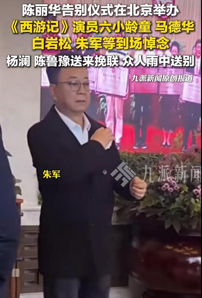 泪别女首富陈丽华！迟重瑞哭肿双眼，六小龄童白岩松冒雨现身（组图） - 4