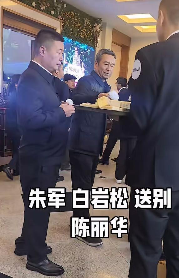 泪别女首富陈丽华！迟重瑞哭肿双眼，六小龄童白岩松冒雨现身（组图） - 5